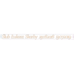 Dowolny NAPIS WYRAZ IMIĘ DATA ze sklejki 3cm A651